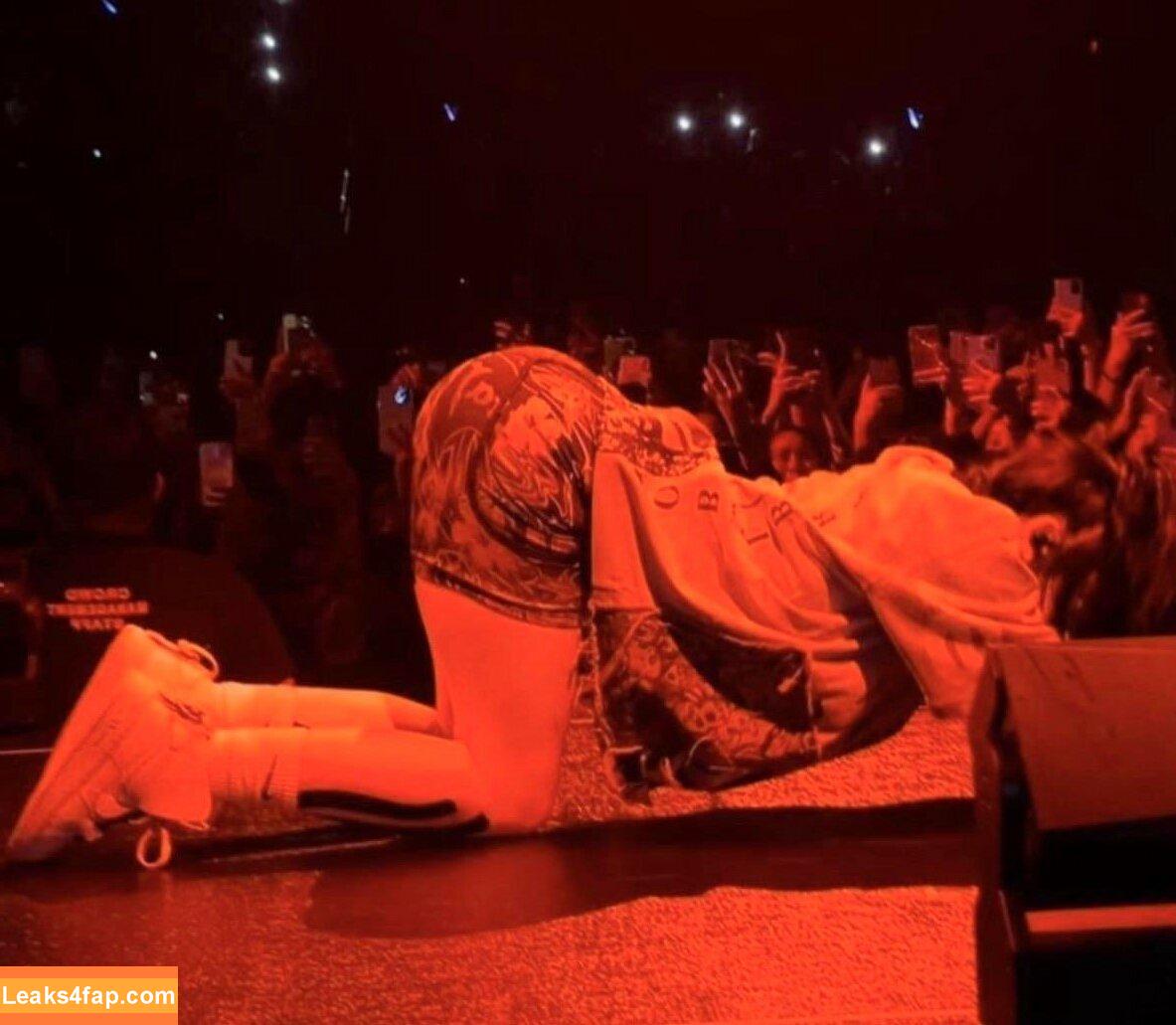 Billie Eilish / Fake / billeeilish / billieeilish слитое фото фото #2578