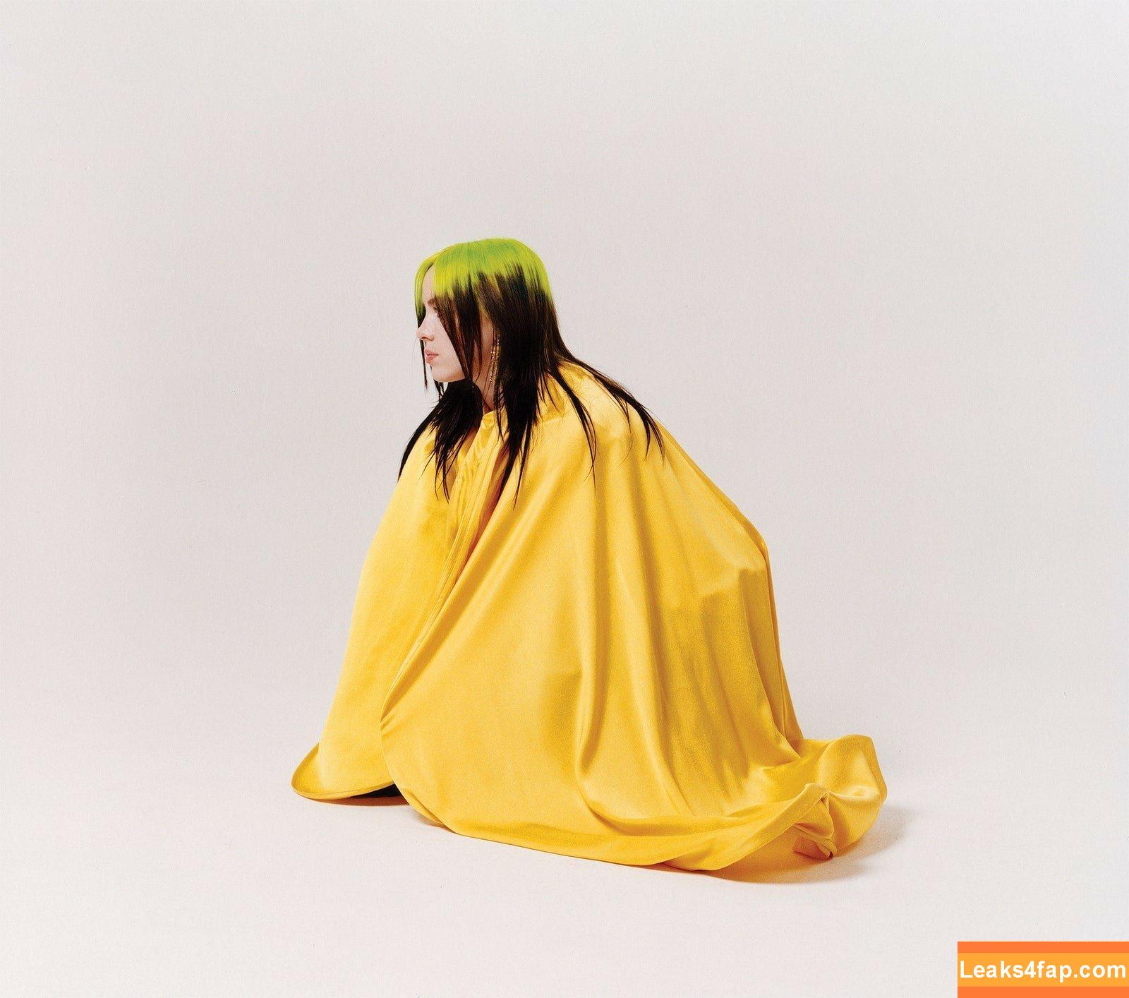 Billie Eilish / Fake / billieeilish leaked photo photo #2627