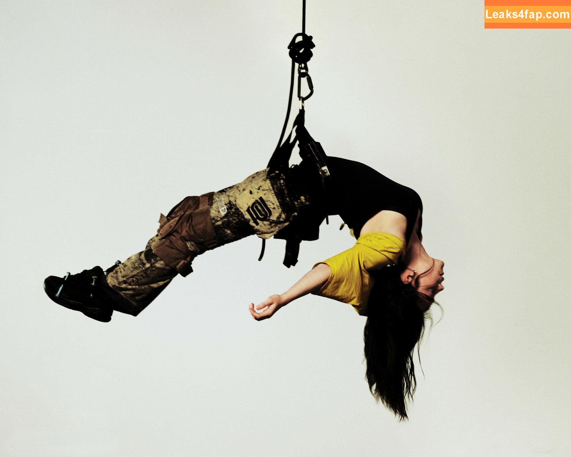 Billie Eilish / Fake / billieeilish leaked photo photo #2647