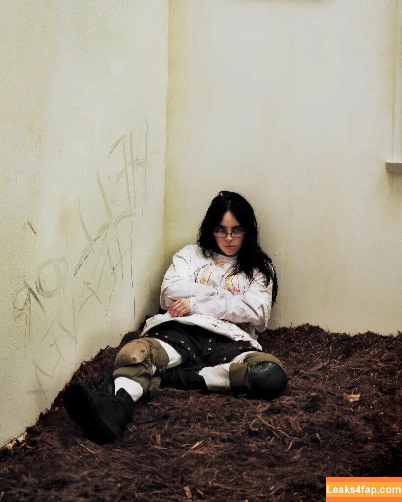 Billie Eilish / Fake / billieeilish leaked photo photo #2648