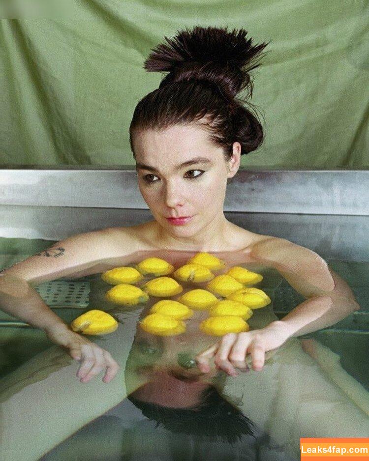 Björk / bjork leaked photo photo #0007