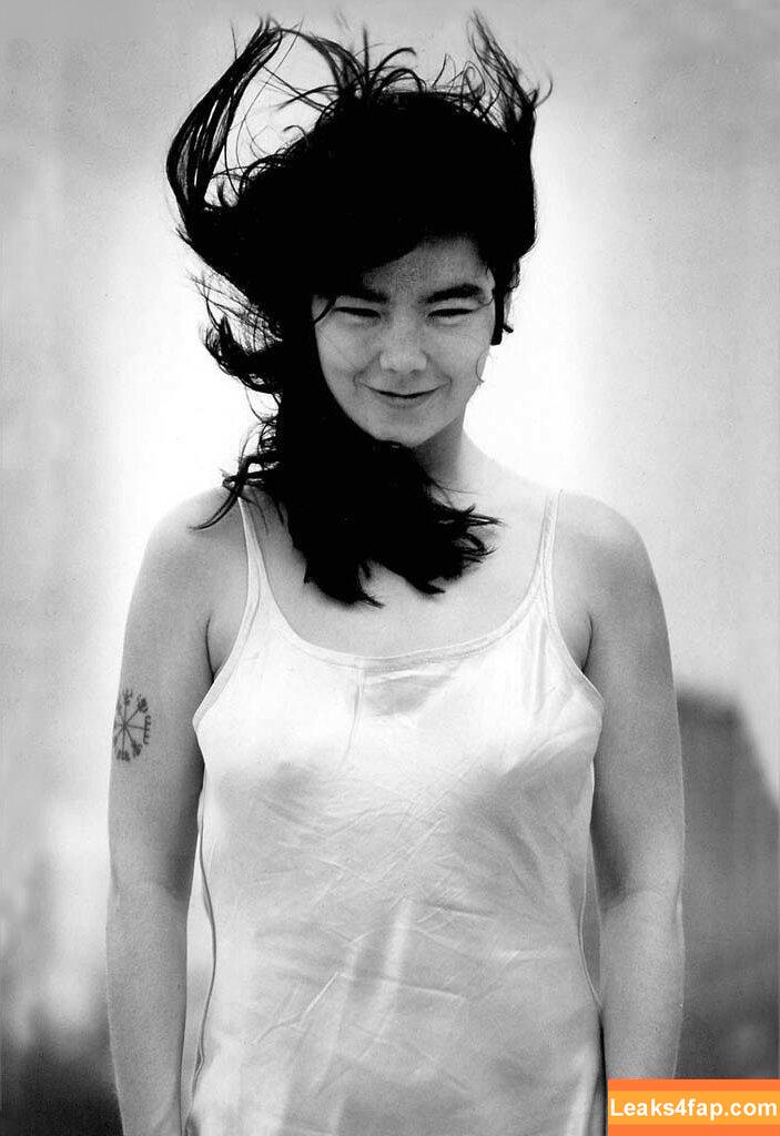 Björk / bjork leaked photo photo #0019