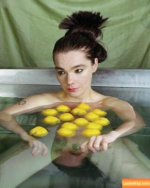 Björk photo #0007