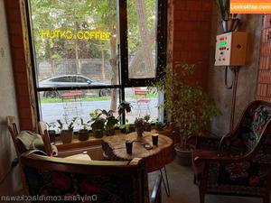 blacckswan photo #0024