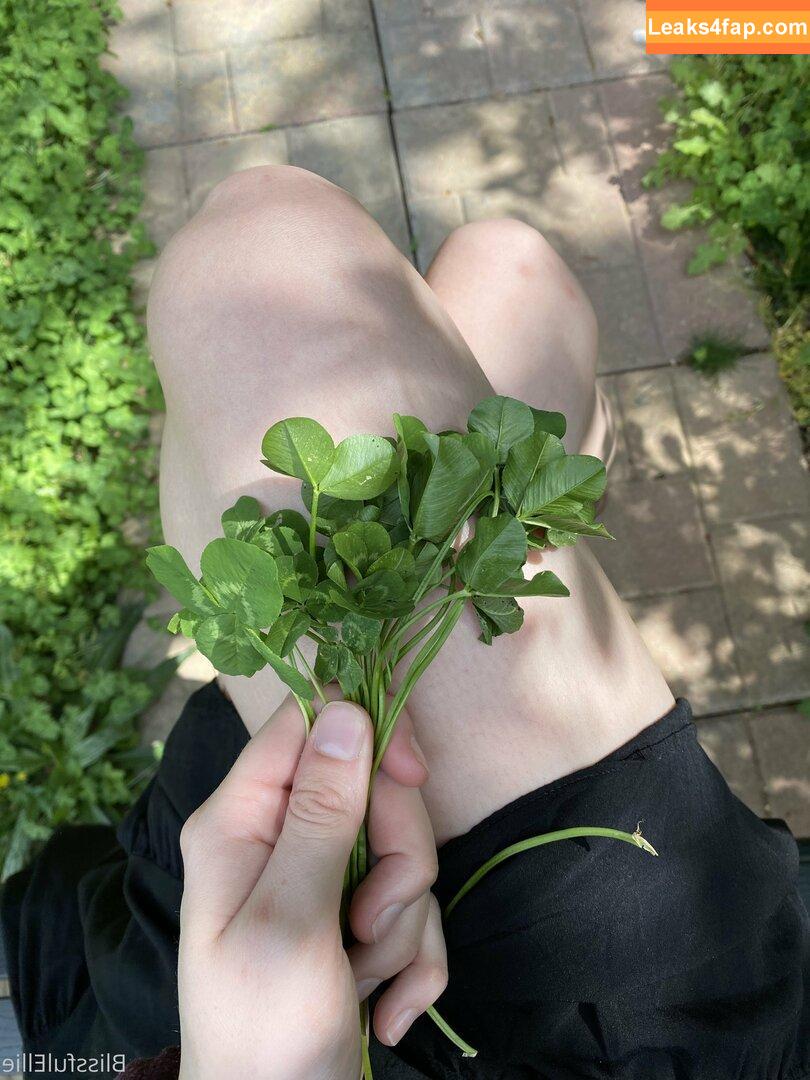 blissfulellie /  leaked photo photo #0090