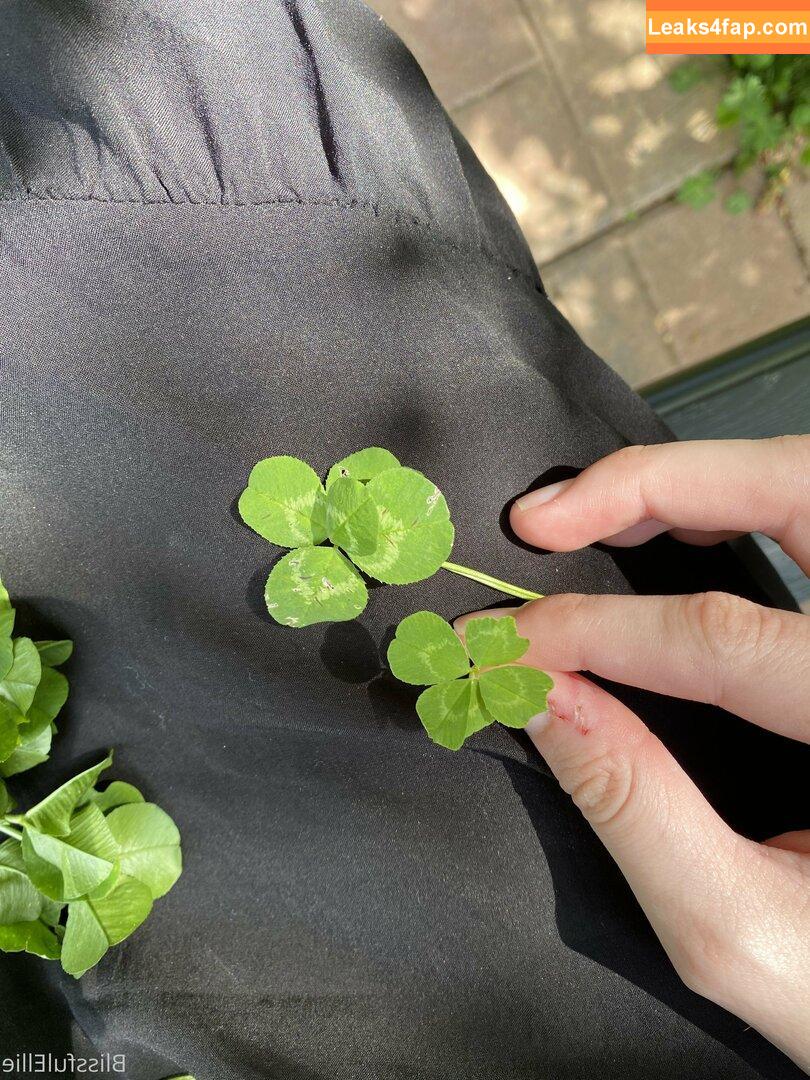 blissfulellie /  leaked photo photo #0091