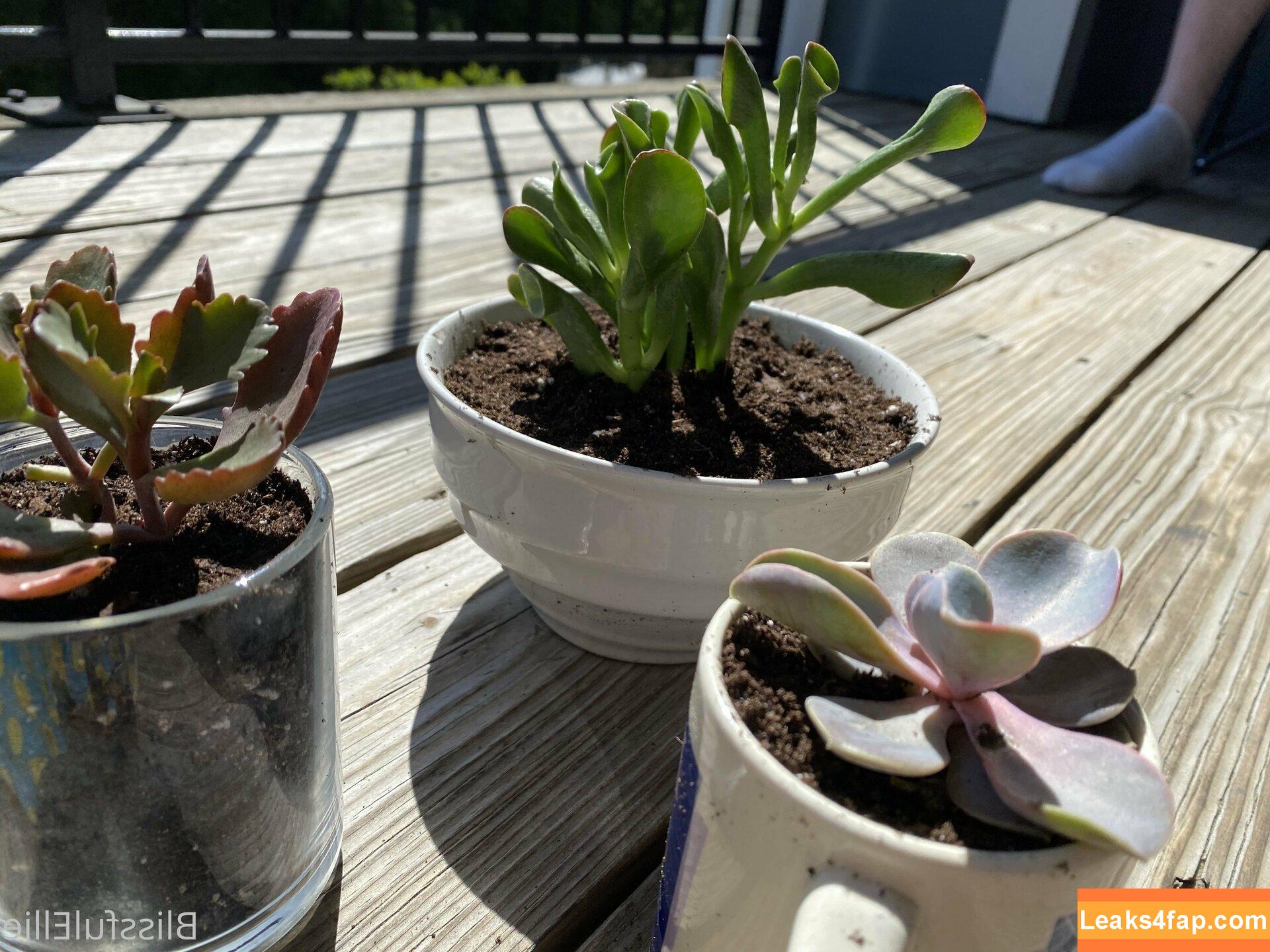 blissfulellie /  слитое фото фото #0171