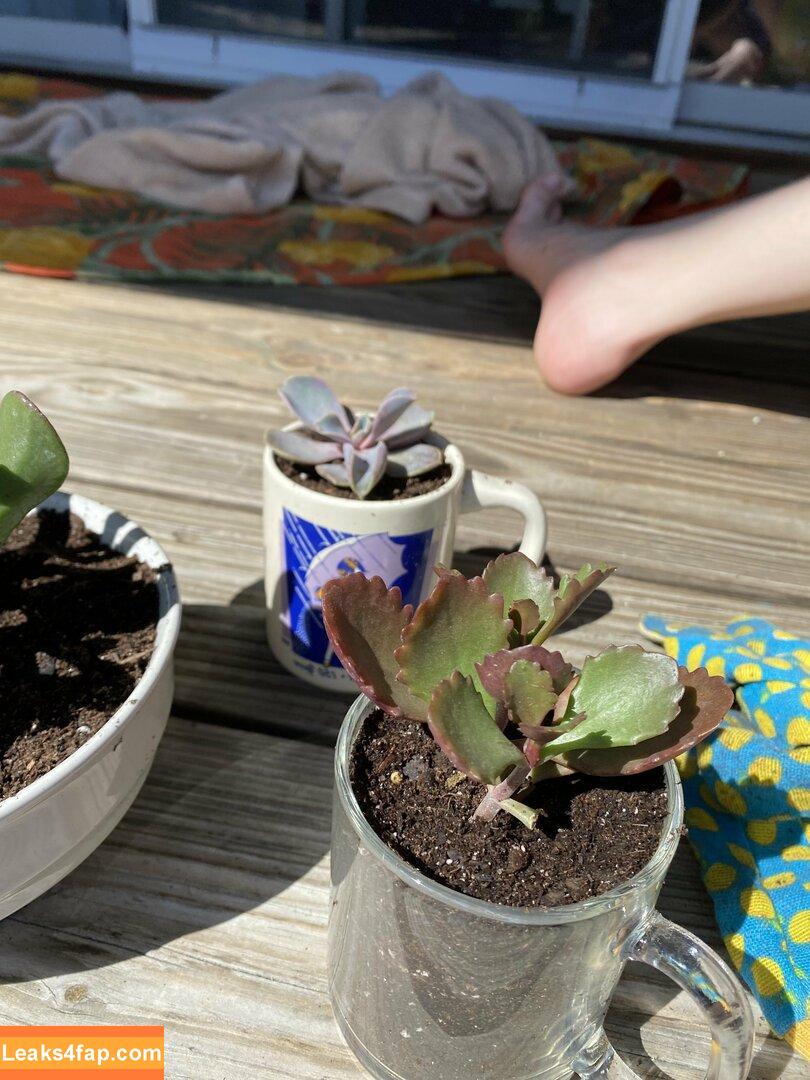 blissfulellie /  leaked photo photo #0172