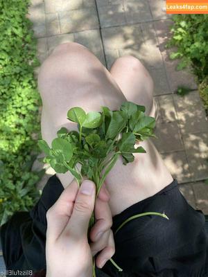 blissfulellie photo #0090