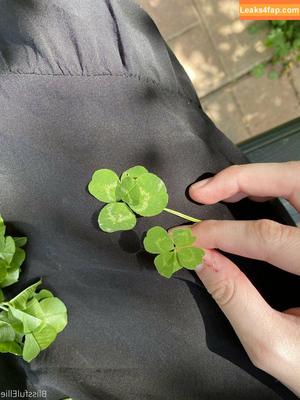 blissfulellie photo #0091