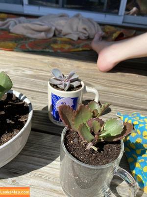 blissfulellie photo #0172