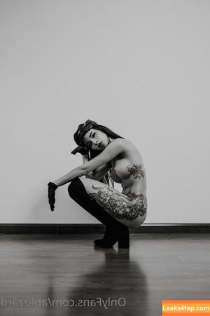 Blizzard photo #0014