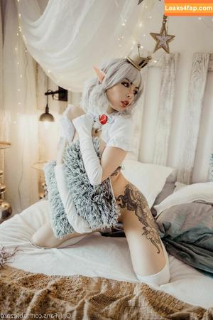 Blizzard photo #0198