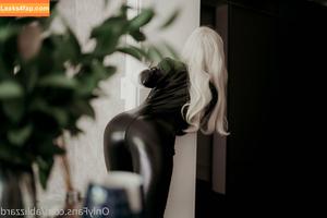 Blizzard photo #0621