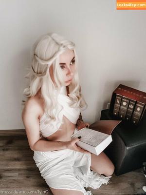 Blizzard photo #0987