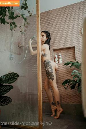 Blizzard photo #1047