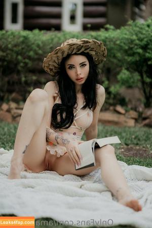 Blizzard photo #1088