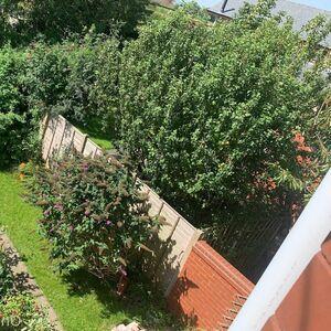 BoltOnWife photo #0665