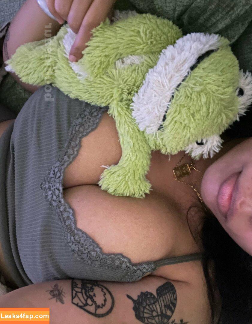 boobiesaur / boobieshack leaked photo photo #0001