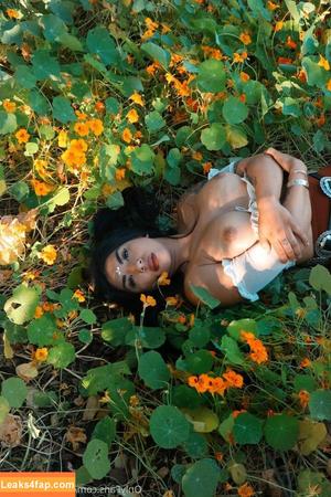 Boobookittyb13 photo #0136