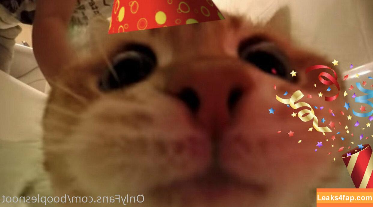 Booplesnoot / boople__snoot слитое фото фото #0200