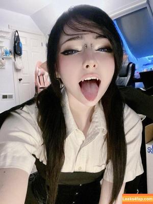 Booplesnoot фото #0151