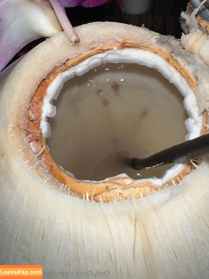 boosecaboose /  leaked photo photo #0012