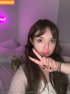 boosecaboose photo #0017