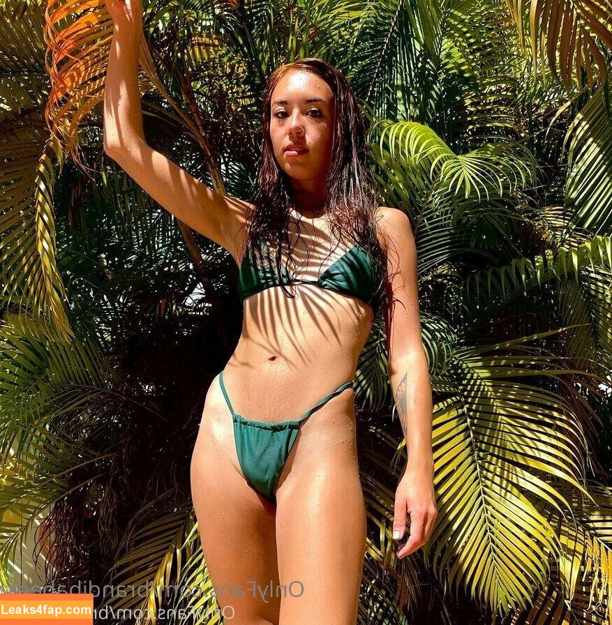 brandibabees / brandibabee leaked photo photo #0140