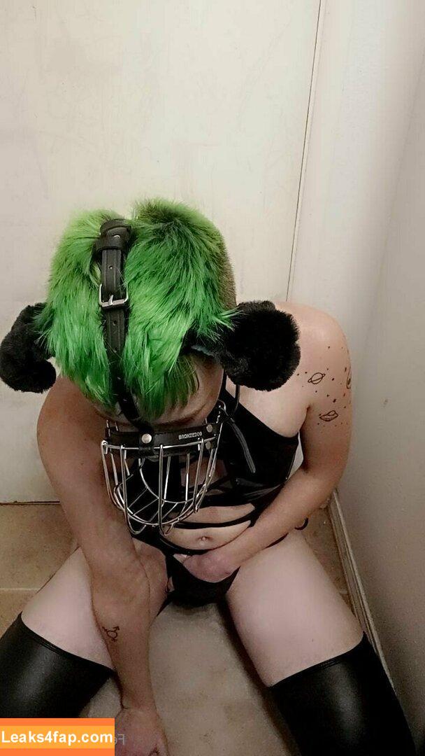 brattypuppybite / brattypuppyyy leaked photo photo #0022