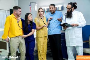 BreedingMaterial photo #0362