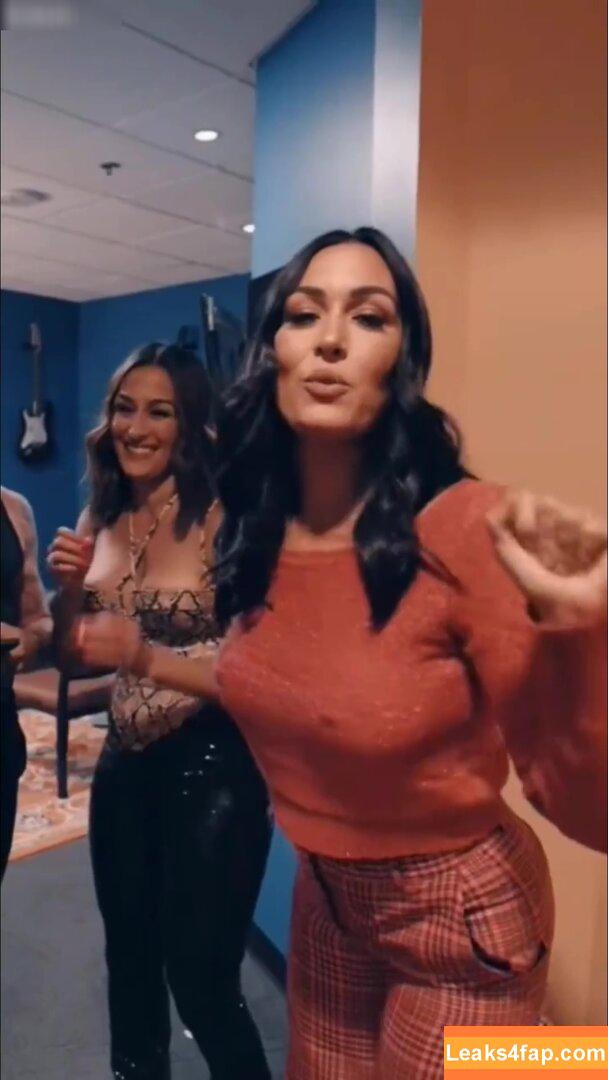 Brie Bella / brie leaked photo photo #0074