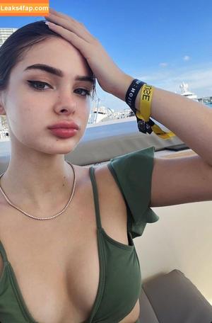 Brighton Sharbino photo #0300