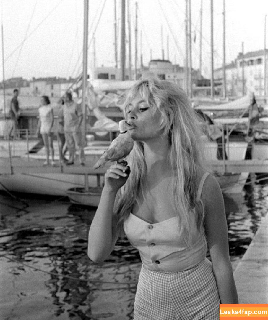 Brigitte Bardot / brigittebardotbb слитое фото фото #0086