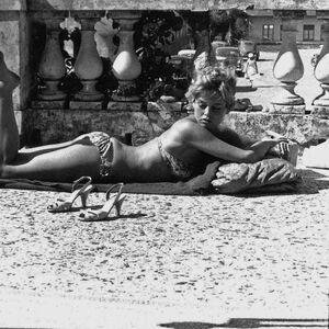 Brigitte Bardot photo #0131