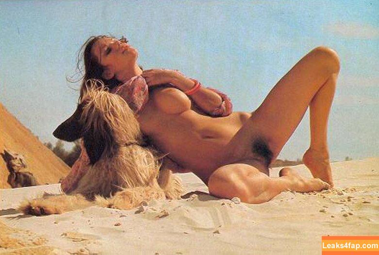 Brigitte Lahaie / brigittelahaieoff leaked photo photo #0044