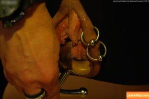 Brilliant Paula фото #2964