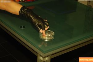 Brilliant Paula photo #3540