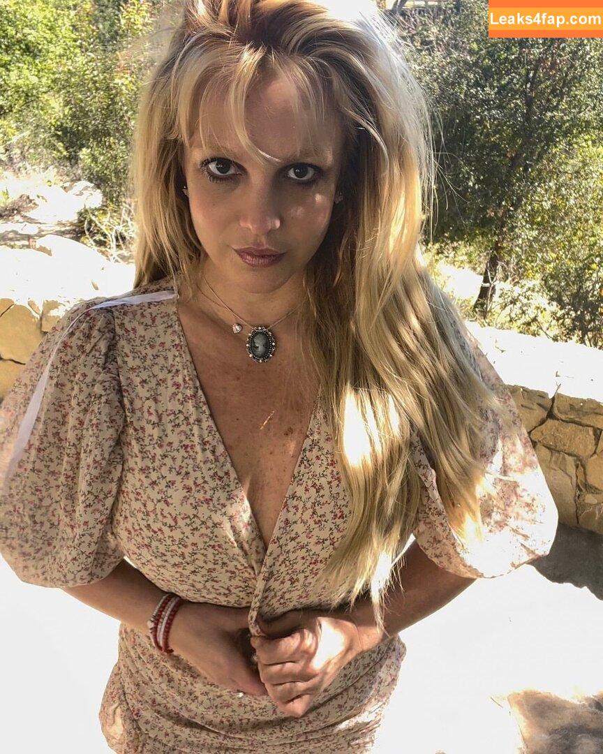 Britney Spears / britneyspears / xoxobritneyj слитое фото фото #0007