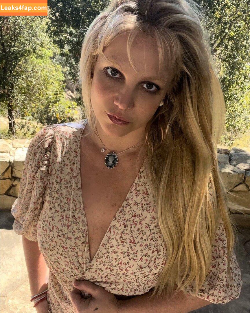 Britney Spears / britneyspears / xoxobritneyj слитое фото фото #0010