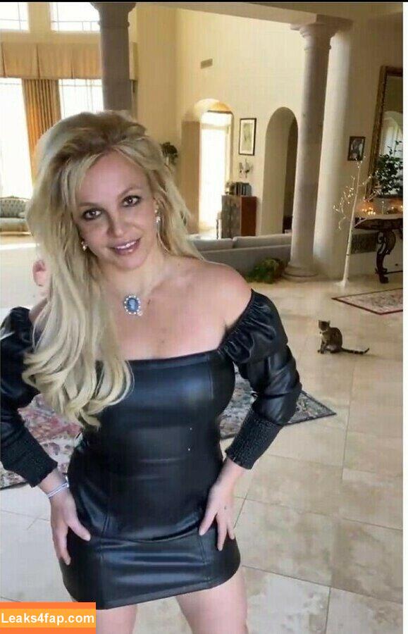 Britney Spears / britneyspears / xoxobritneyj слитое фото фото #0371