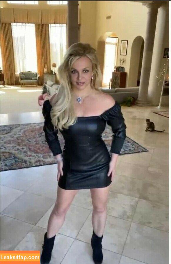 Britney Spears / britneyspears / xoxobritneyj leaked photo photo #0376