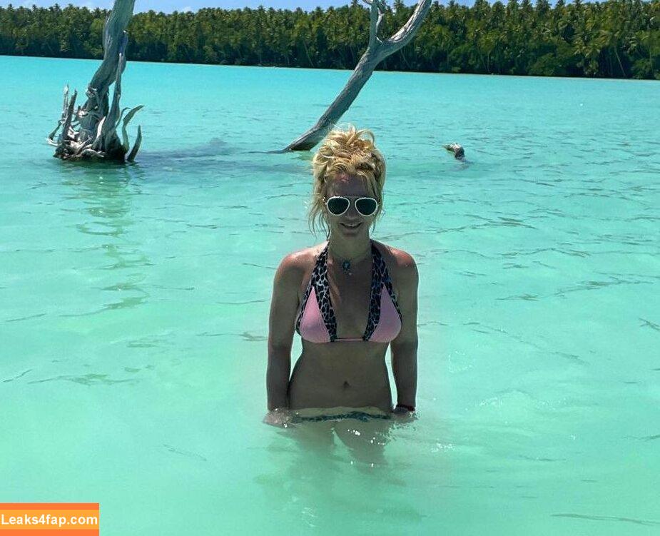 Britney Spears / britneyspears / xoxobritneyj слитое фото фото #0593