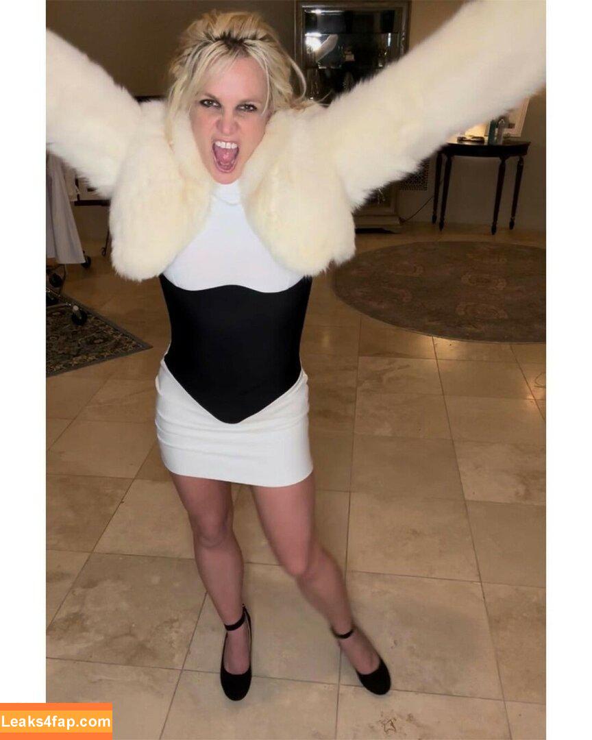 Britney Spears / britneyspears / xoxobritneyj слитое фото фото #0743