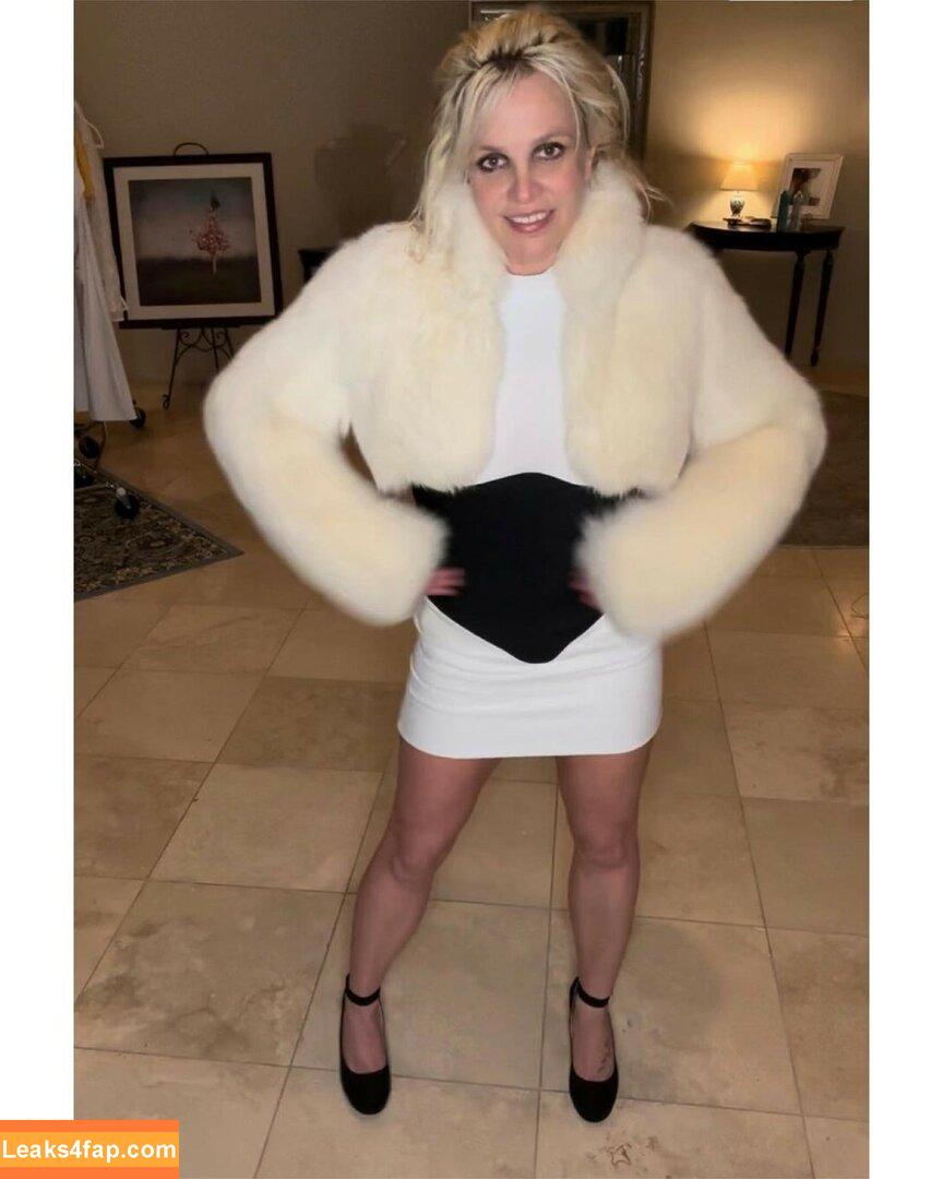 Britney Spears / britneyspears / xoxobritneyj слитое фото фото #0746