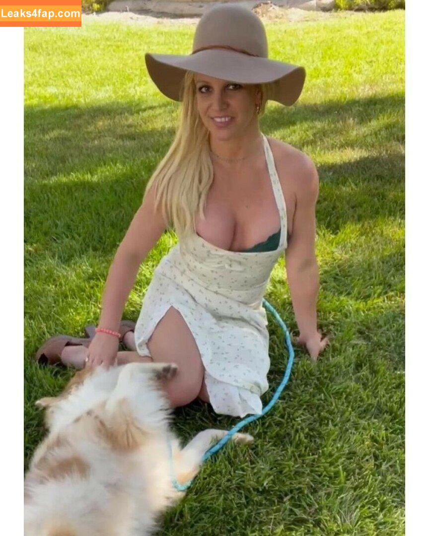 Britney Spears / britneyspears / xoxobritneyj слитое фото фото #0879