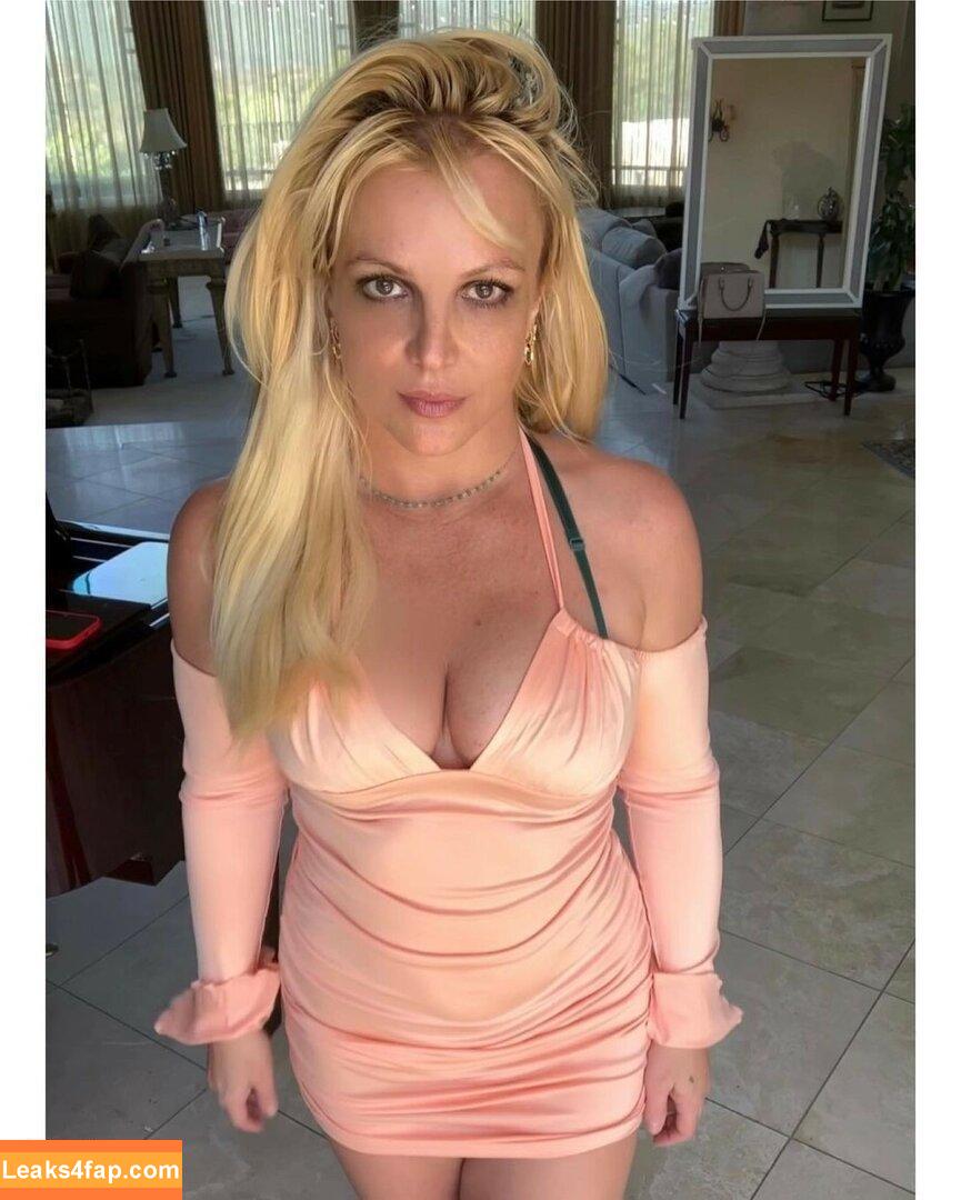 Britney Spears / britneyspears / xoxobritneyj слитое фото фото #0936