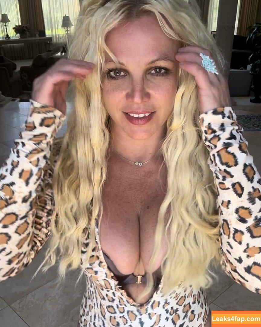 Britney Spears / britneyspears / xoxobritneyj слитое фото фото #1075