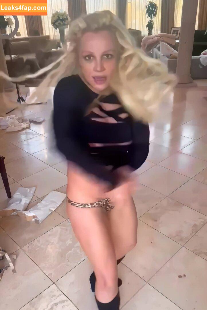 Britney Spears / britneyspears / xoxobritneyj слитое фото фото #1152