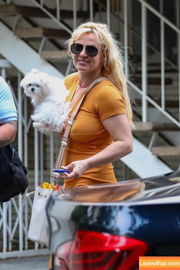 Britney Spears / britneyspears / xoxobritneyj слитое фото фото #1299